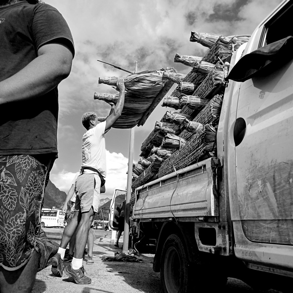 Maiao papetoai express Moorea 2026 — Bernard Berbille