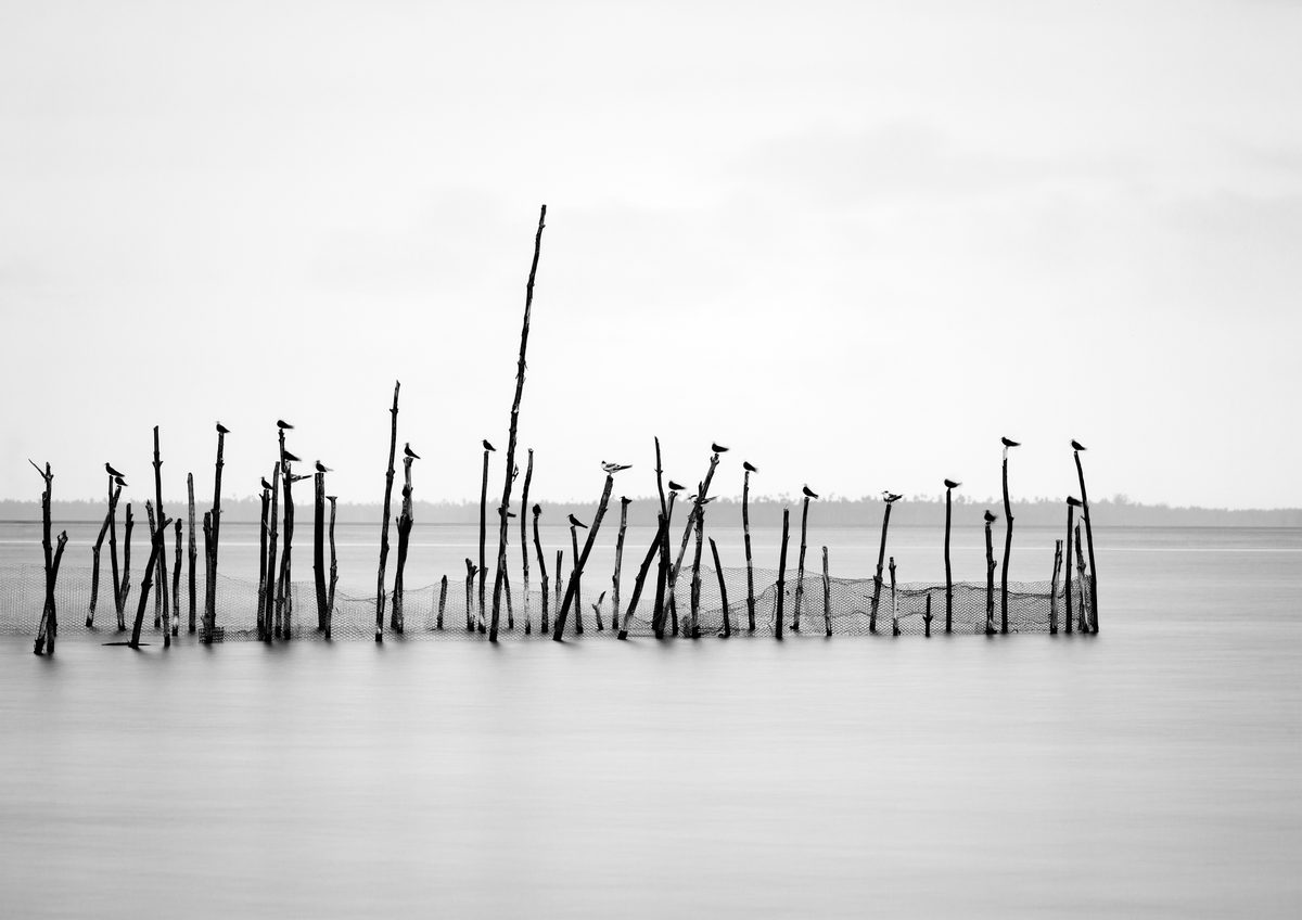 Ceux qui attendent — Brigitte Bourger
