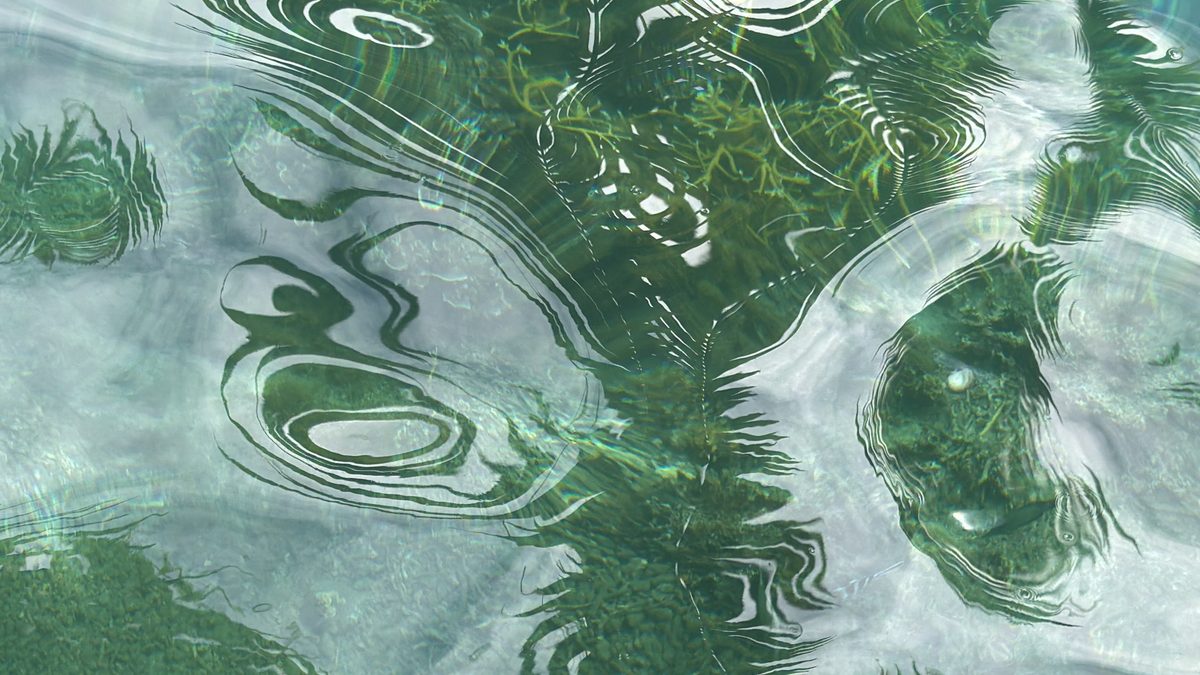 Mondes liquides 4 — Larissa Rolley