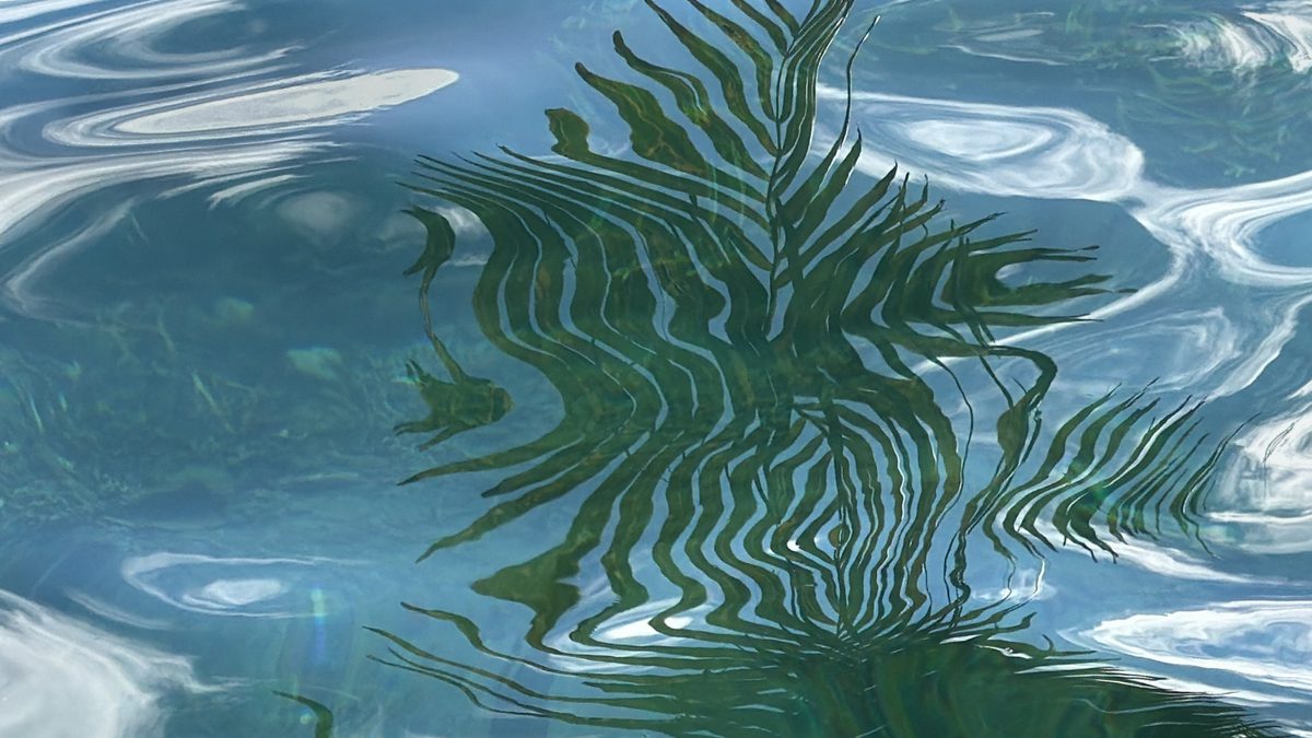 Mondes liquides 9 — Larissa Rolley